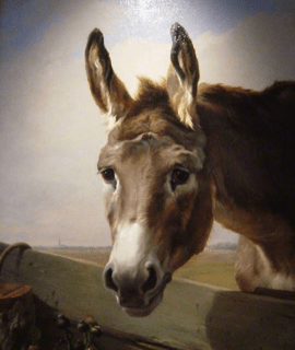 Portrait d'âne 65x55 cm