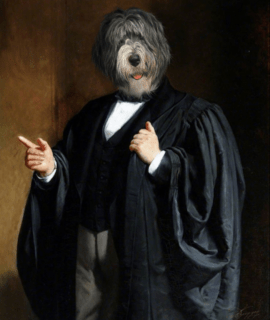 Portrait de bobtail en avocat 90 x 70 cm