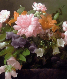 Pivoines et Iris 60 x 50 cm