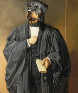 Portrait de Rottweiler en avocat 90 x 70 cm