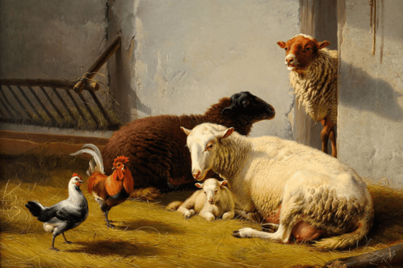 Moutons dans la bergerie 60 x 55 Cm